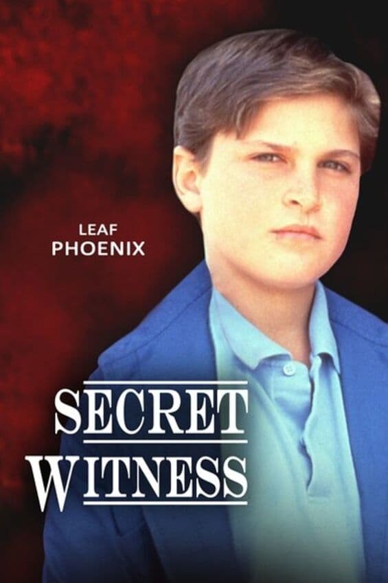 Постер Secret Witness